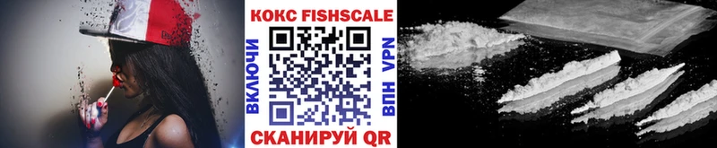 Купить где Суздаль Cocaine FishScale
