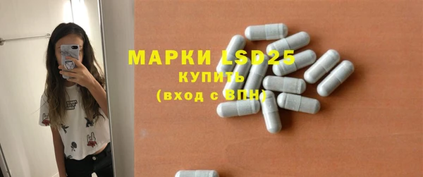 spice Бородино