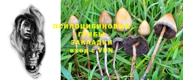 spice Бородино