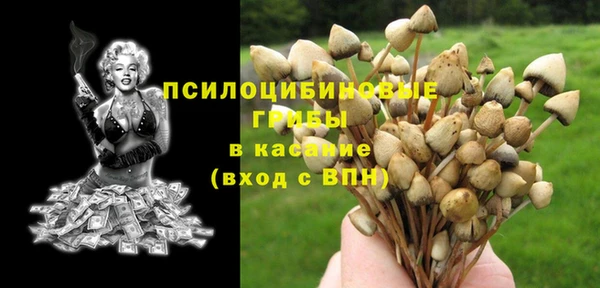 spice Бородино
