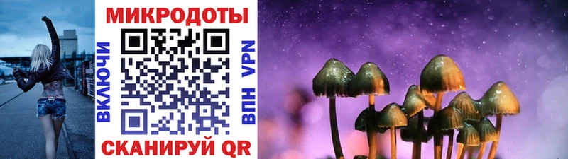 Купить закладки  Суздаль  Псилоцибиновые грибы ЛСД 